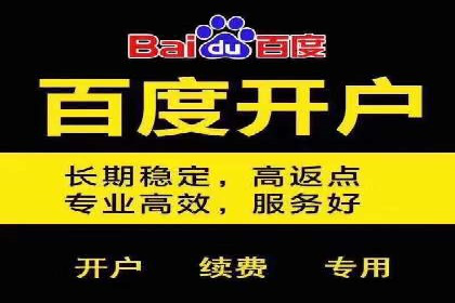 百度广告竞价与社交媒体结合的案例：某品牌的全网营销策略